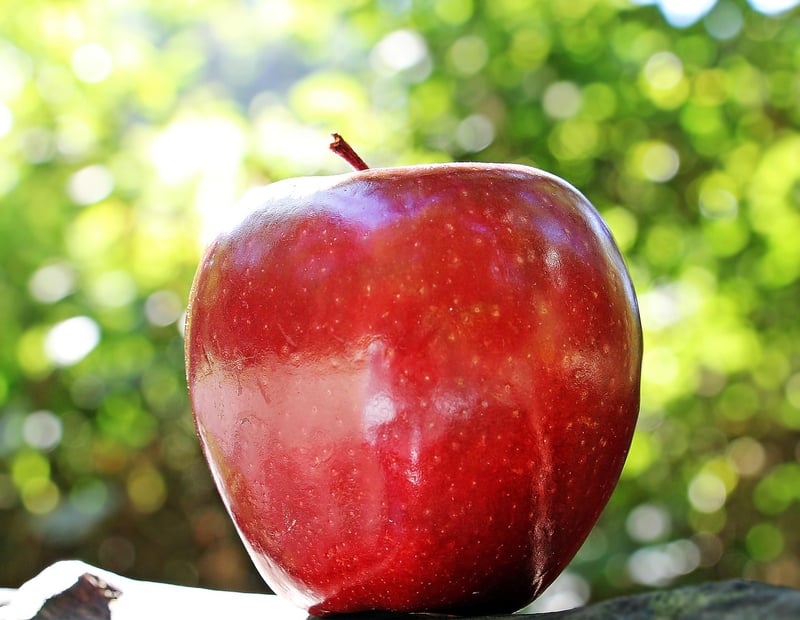 Fruits and vegetables